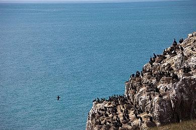 《星刃》全服装展示视频 服装太性感让人大饱眼福